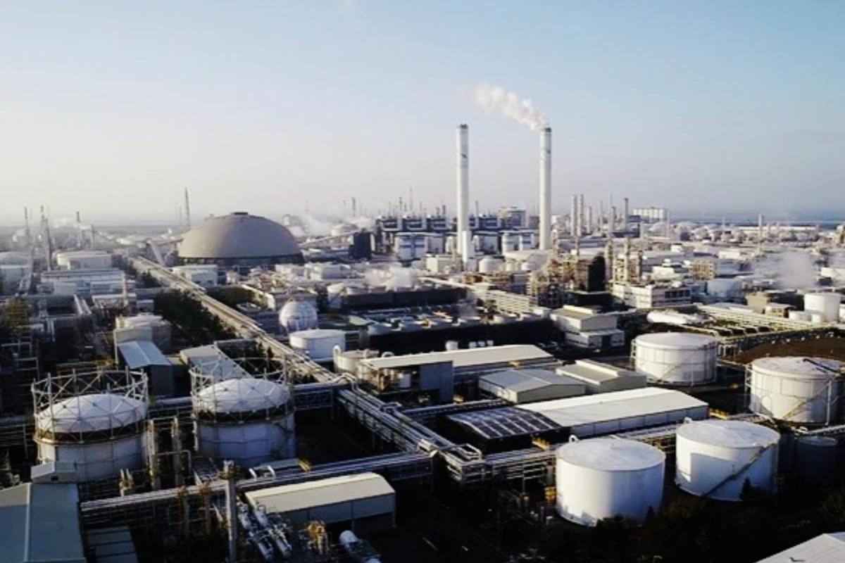 興 櫃 市值 排名 (99) 사진