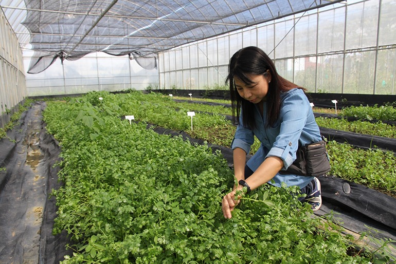 為理想奮鬥 有機女青農翻轉世界 信傳媒