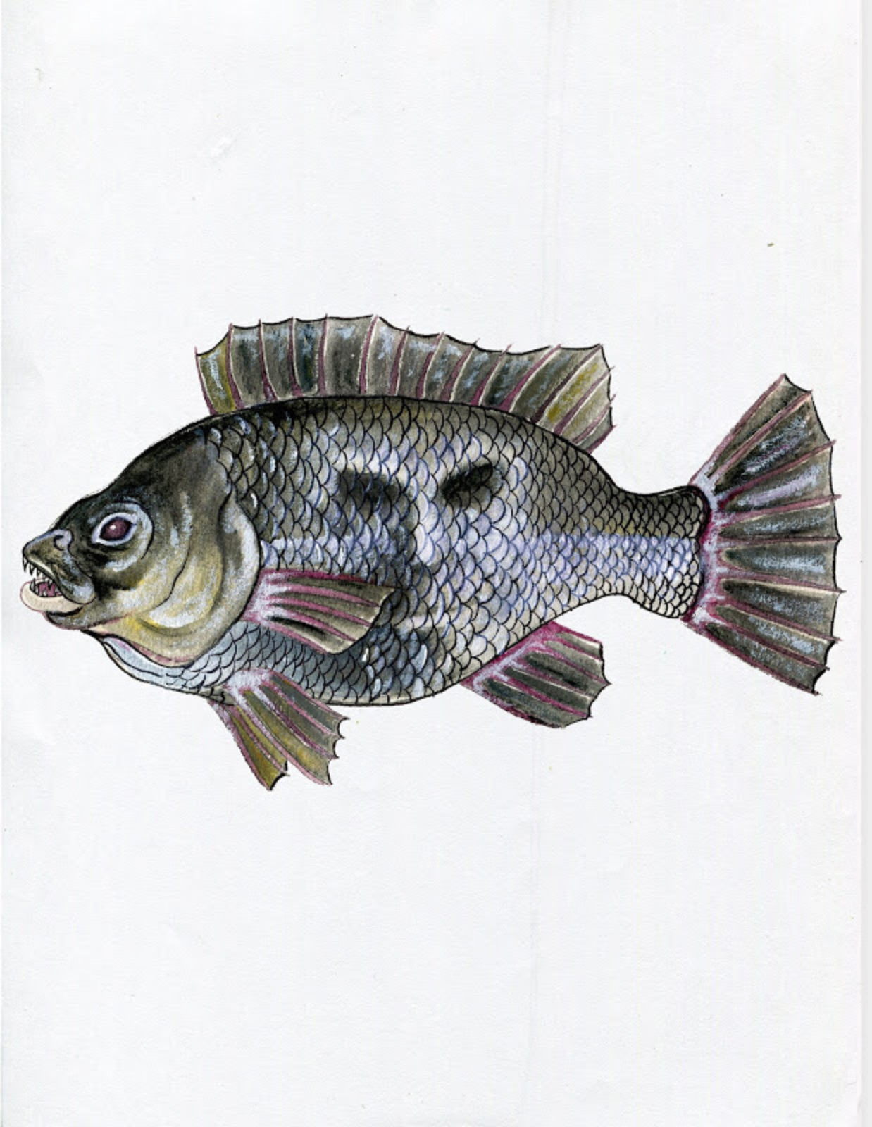 沒看過不代表不存在找回台灣妖怪的行人文化實驗室 信傳媒