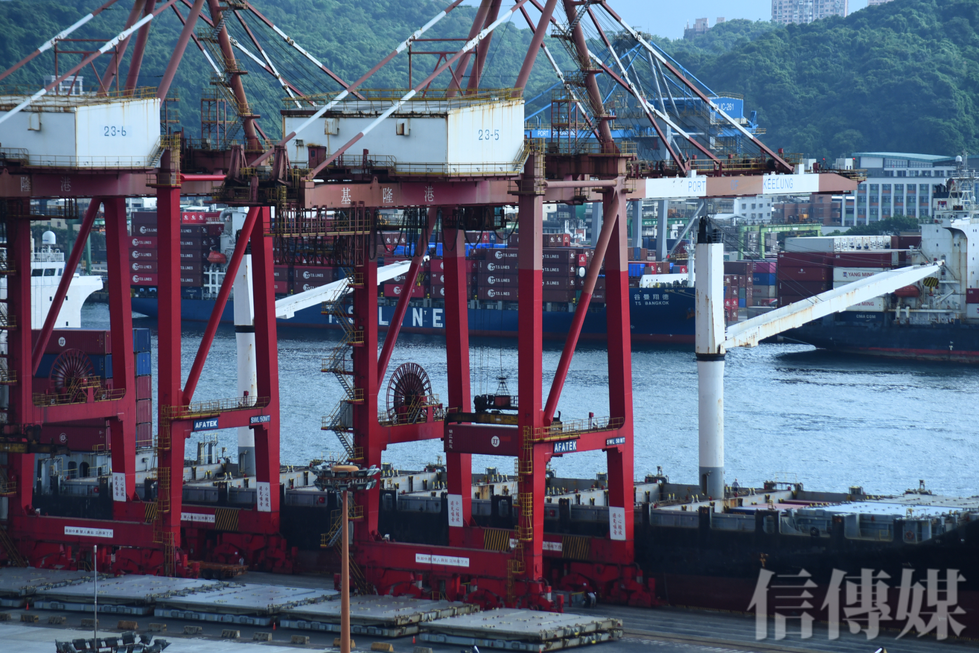 股市攻略》長榮、陽明、萬海獲利超亮眼航海王若再起台股將創新高| 信傳媒